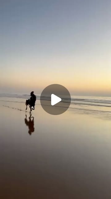 Reel Instagram de Jamal Cavalier — sortie à cheval